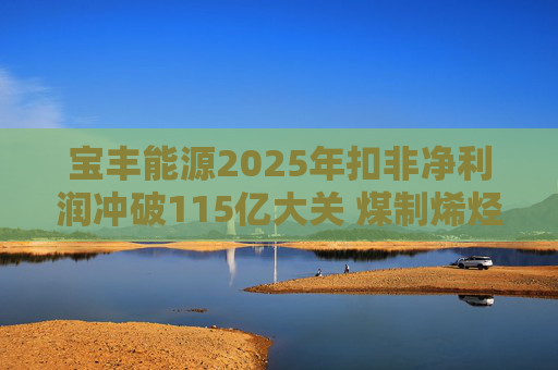 宝丰能源2025年扣非净利润冲破115亿大关 煤制烯烃龙头迎高光时刻