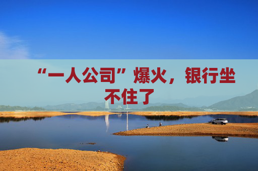 “一人公司”爆火，银行坐不住了
