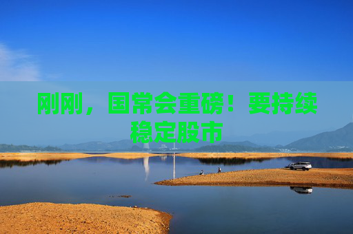 刚刚，国常会重磅！要持续稳定股市