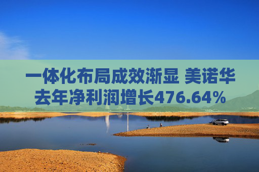 一体化布局成效渐显 美诺华去年净利润增长476.64%