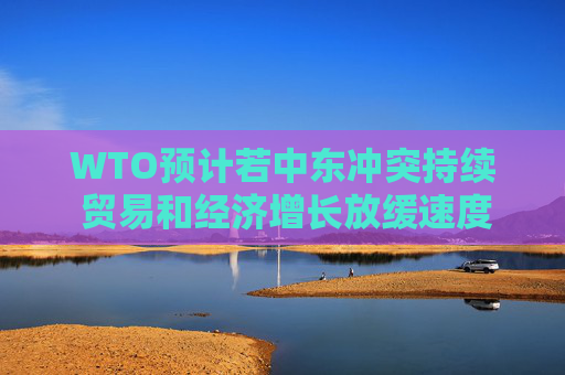 WTO预计若中东冲突持续 贸易和经济增长放缓速度将更为迅猛