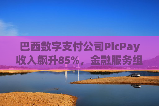 巴西数字支付公司PicPay收入飙升85%，金融服务组合持续扩大