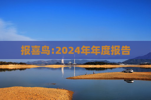 报喜鸟:2024年年度报告  第1张