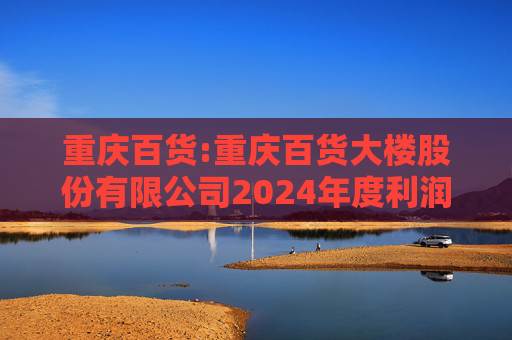 重庆百货:重庆百货大楼股份有限公司2024年度利润分配方案公告