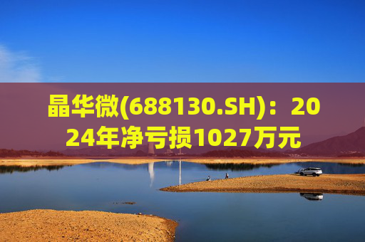 晶华微(688130.SH)：2024年净亏损1027万元