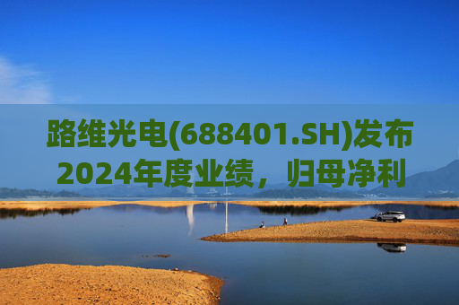 路维光电(688401.SH)发布2024年度业绩，归母净利润1.91亿元，同比增长28.27%