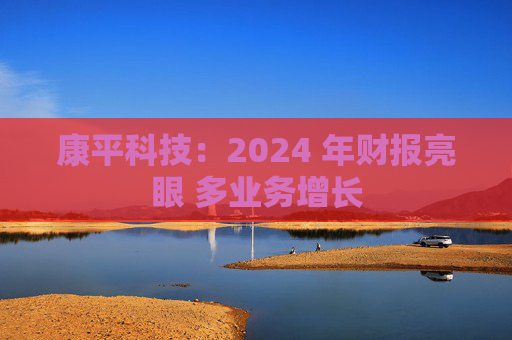 康平科技：2024 年财报亮眼 多业务增长