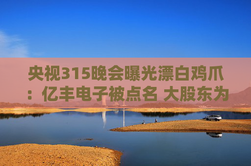 央视315晚会曝光漂白鸡爪：亿丰电子被点名 大股东为A股上市公司多氟多
