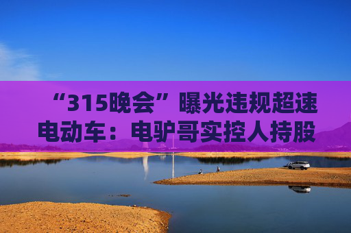 “315晚会”曝光违规超速电动车：电驴哥实控人持股公司经营异常，黑骑士去年变更股东