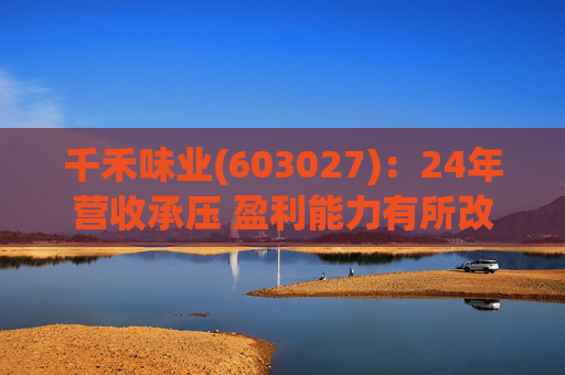 千禾味业(603027)：24年营收承压 盈利能力有所改善