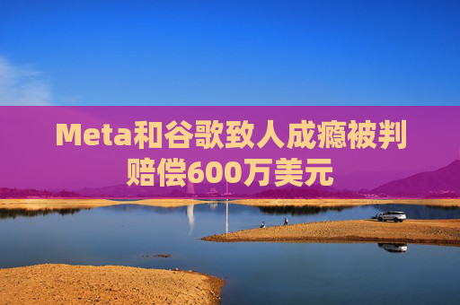 Meta和谷歌致人成瘾被判赔偿600万美元