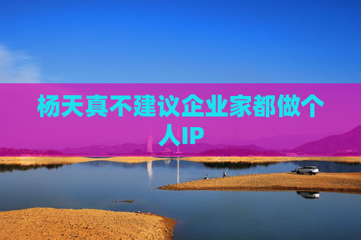杨天真不建议企业家都做个人IP  第1张