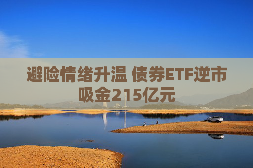 避险情绪升温 债券ETF逆市吸金215亿元