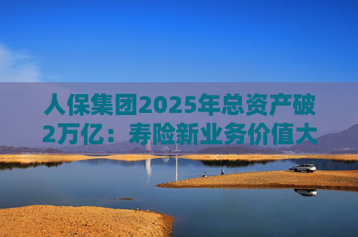 人保集团2025年总资产破2万亿：寿险新业务价值大增64.5%，财险综合成本率创近年最优