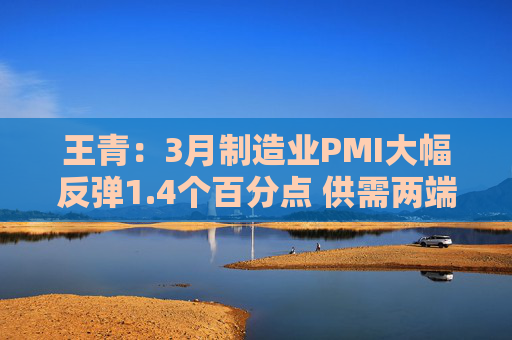 王青：3月制造业PMI大幅反弹1.4个百分点 供需两端明显改善｜首席读数据