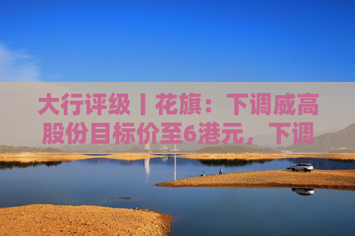 大行评级丨花旗：下调威高股份目标价至6港元，下调收入及盈利预测