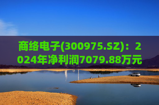 商络电子(300975.SZ)：2024年净利润7079.88万元 同比增长108.28%