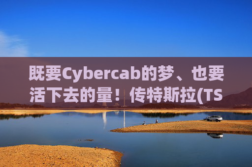 既要Cybercab的梦、也要活下去的量！传特斯拉(TSLA.US)秘研全新紧凑型SUV 兼顾无人驾驶愿景与现实销量