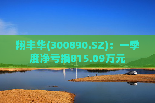 翔丰华(300890.SZ)：一季度净亏损815.09万元