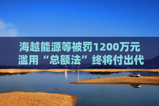 海越能源等被罚1200万元 滥用“总额法”终将付出代价