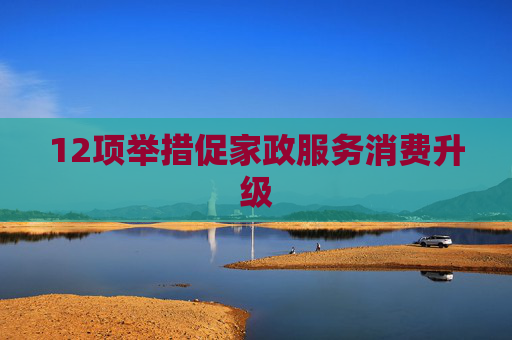 12项举措促家政服务消费升级  第1张