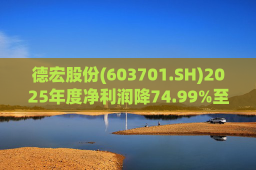 德宏股份(603701.SH)2025年度净利润降74.99%至1153.69万元