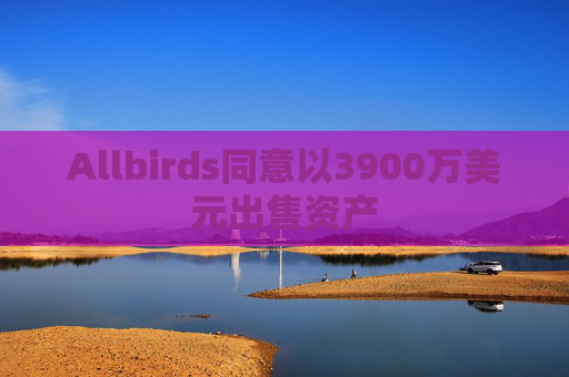 Allbirds同意以3900万美元出售资产