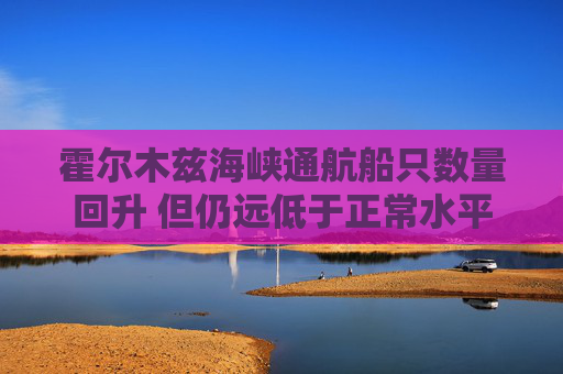 霍尔木兹海峡通航船只数量回升 但仍远低于正常水平