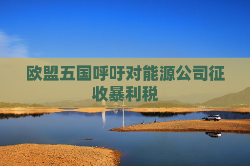 欧盟五国呼吁对能源公司征收暴利税