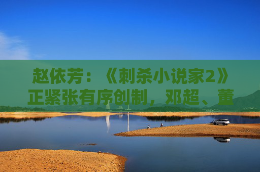 赵依芳：《刺杀小说家2》正紧张有序创制，邓超、董子健、雷佳音、张震、辛芷蕾参与