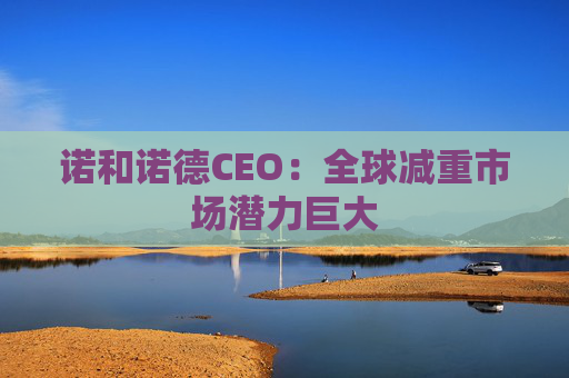 诺和诺德CEO：全球减重市场潜力巨大