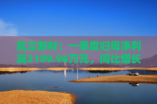 凯立新材：一季度归母净利润2189.96万元，同比增长90.48%