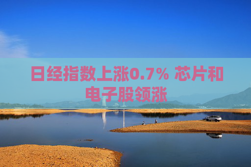 日经指数上涨0.7% 芯片和电子股领涨