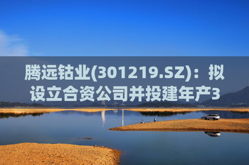 腾远钴业(301219.SZ)：拟设立合资公司并投建年产3万吨铜、2000吨钴湿法冶炼厂项目