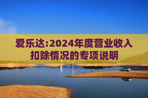 爱乐达:2024年度营业收入扣除情况的专项说明