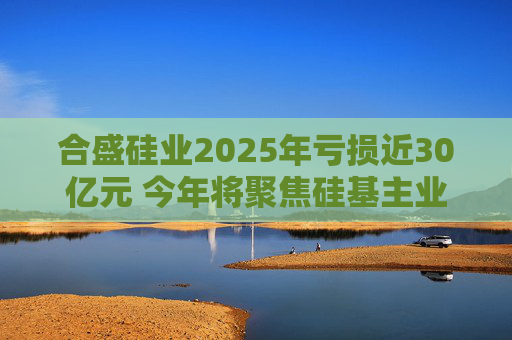 合盛硅业2025年亏损近30亿元 今年将聚焦硅基主业、适度收缩光伏业务投入  第1张