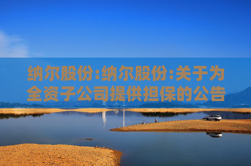 纳尔股份:纳尔股份:关于为全资子公司提供担保的公告