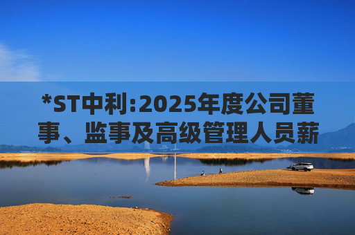 *ST中利:2025年度公司董事、监事及高级管理人员薪酬方案的公告