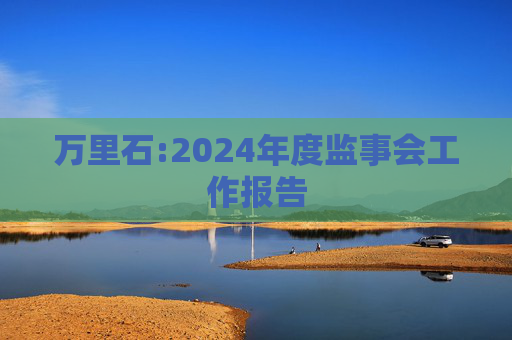 万里石:2024年度监事会工作报告