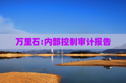 万里石:内部控制审计报告
