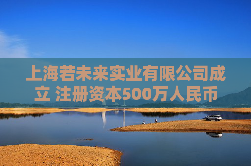 上海若未来实业有限公司成立 注册资本500万人民币