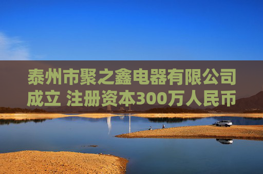 泰州市聚之鑫电器有限公司成立 注册资本300万人民币