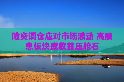 险资调仓应对市场波动 高股息板块成收益压舱石