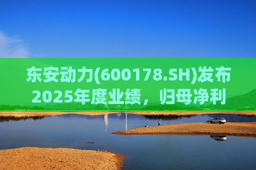东安动力(600178.SH)发布2025年度业绩，归母净利润1252.04万元，同比增长118.37%  第1张