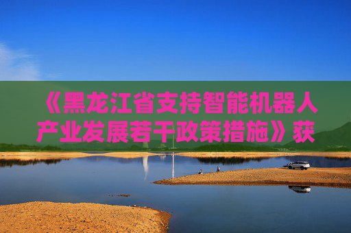 《黑龙江省支持智能机器人产业发展若干政策措施》获审议通过