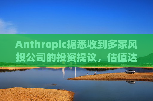 Anthropic据悉收到多家风投公司的投资提议，估值达8000亿美元