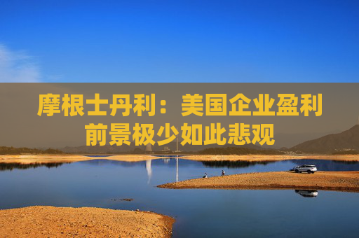 摩根士丹利：美国企业盈利前景极少如此悲观
