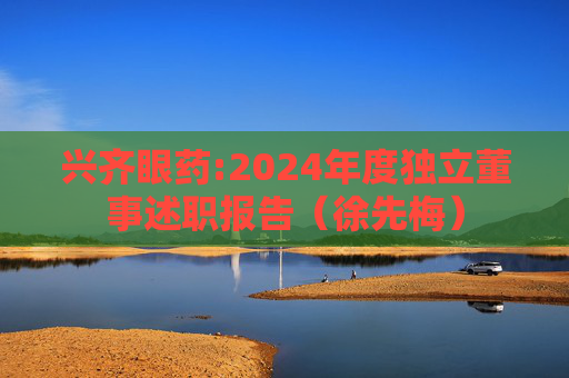 兴齐眼药:2024年度独立董事述职报告（徐先梅）