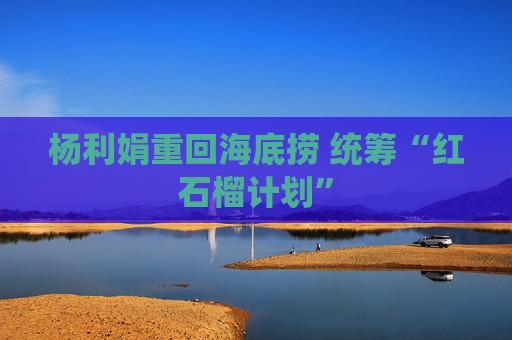 杨利娟重回海底捞 统筹“红石榴计划”