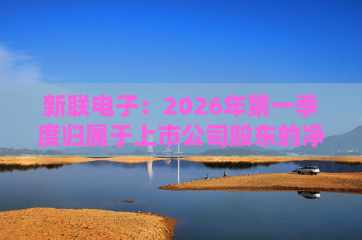 新联电子：2026年第一季度归属于上市公司股东的净利润是91152716.65元  第1张